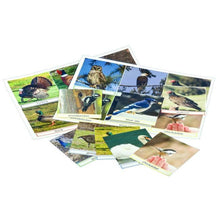 Load image into Gallery viewer, Surprise! Meaningful Activities Packages